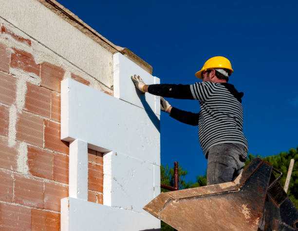 Best Insulation Installation Services in Pine Ridge, FL